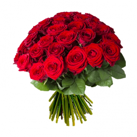 Kwiaciarnia Kwiatkarnia poleca kwiaty z dostawą takie jak klasyczny bukiet z czerwonych róż.